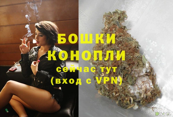 гидра Красноперекопск
