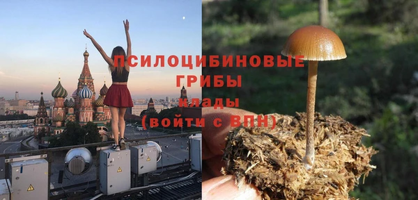 дурь Краснотурьинск