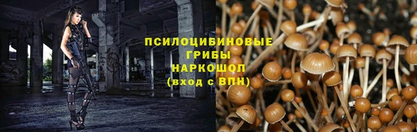 винт Коряжма